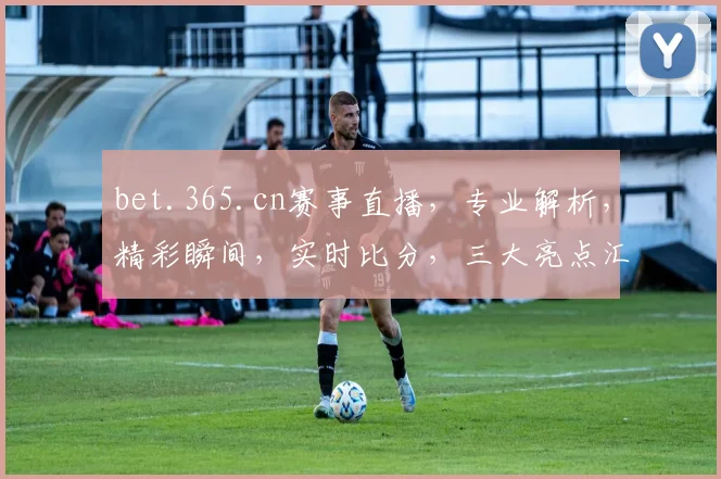 bet.365.cn赛事直播，专业解析，精彩瞬间，实时比分，三大亮点汇聚一网